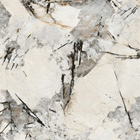 Pandora Vein